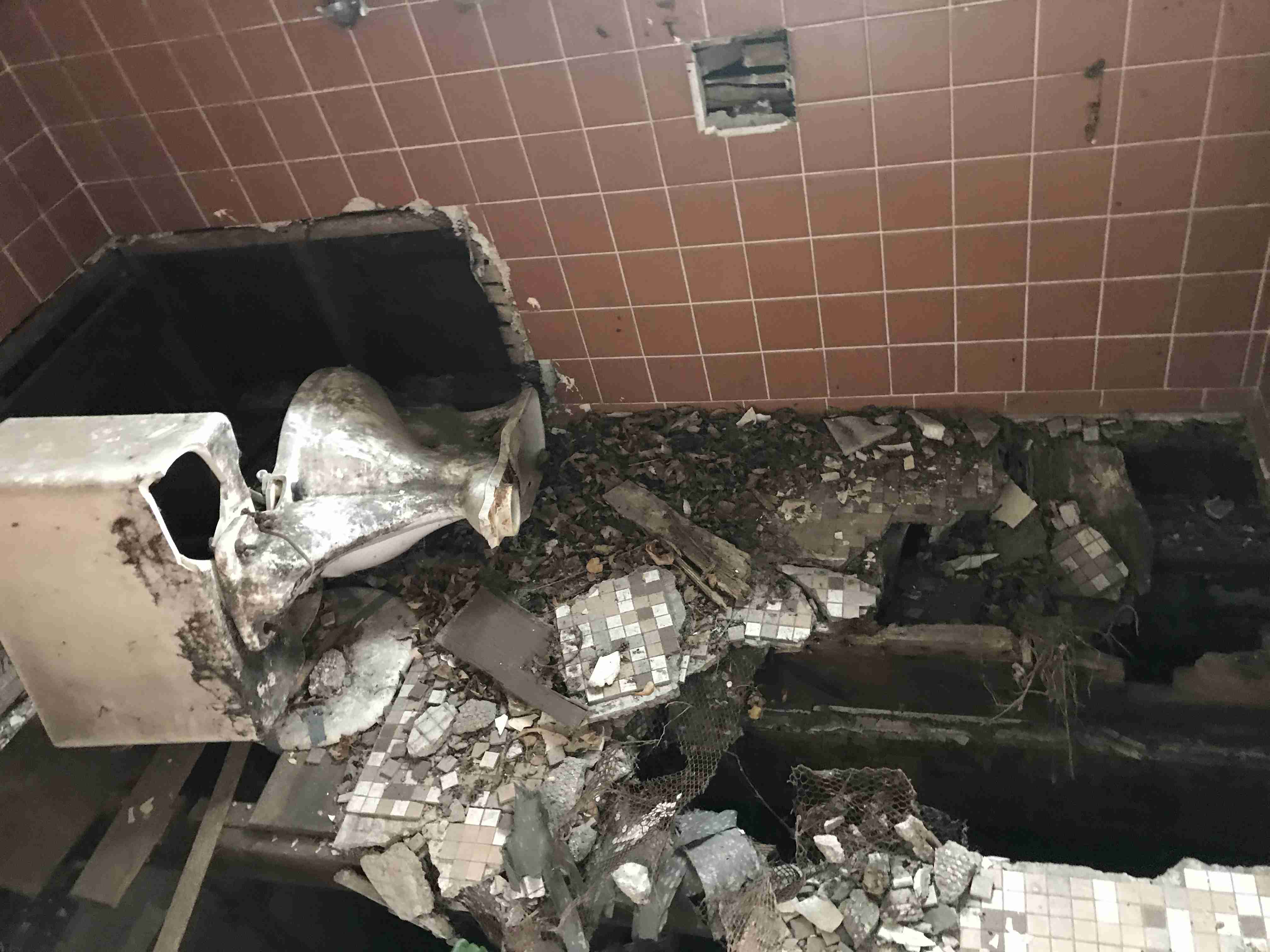 Photo Sep 10, 2 50 40 PM.jpg